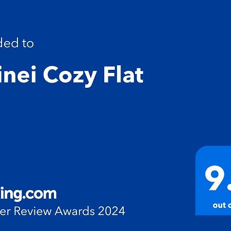 Doinei Cozy Flat Lägenhet Timişoara Exteriör bild