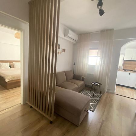 Doinei Cozy Flat Lägenhet Timişoara Exteriör bild