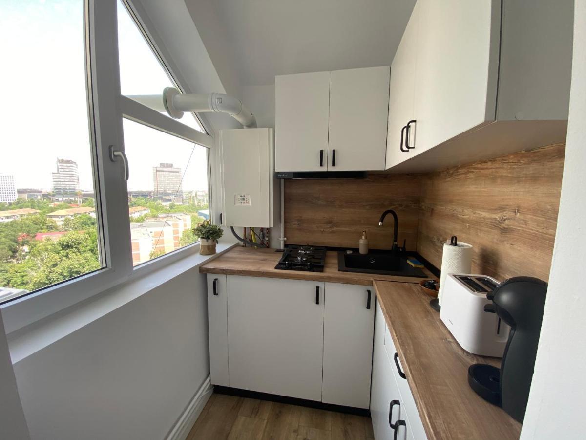 Doinei Cozy Flat Lägenhet Timişoara Exteriör bild