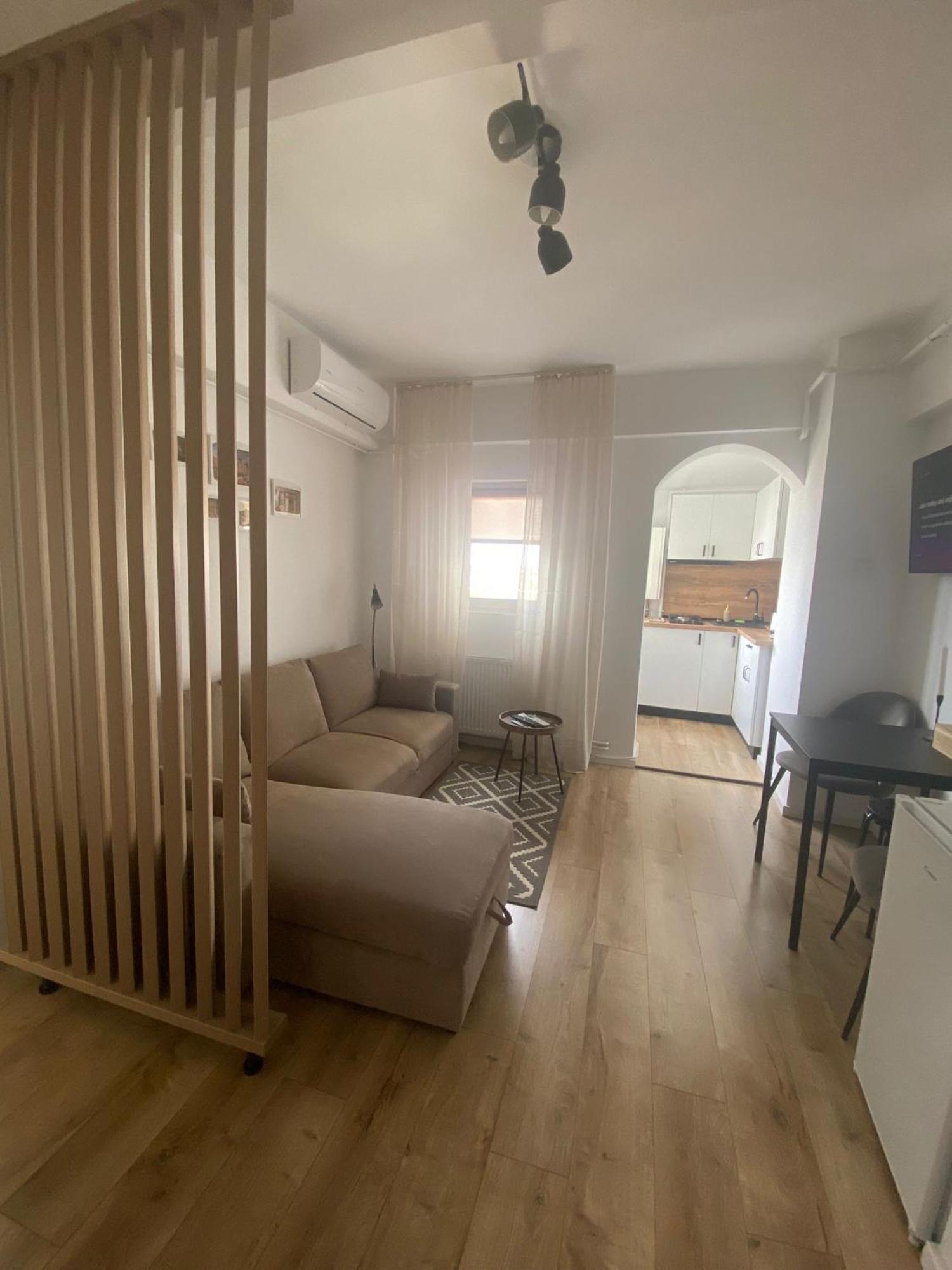 Doinei Cozy Flat Lägenhet Timişoara Exteriör bild