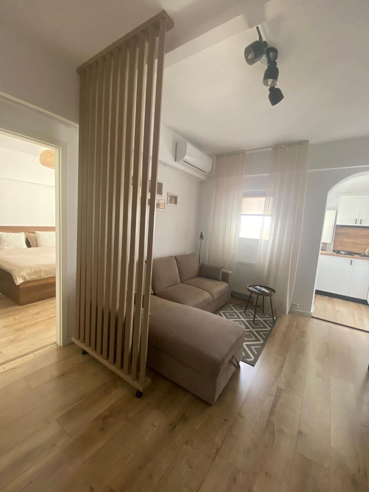Doinei Cozy Flat Lägenhet Timişoara Exteriör bild