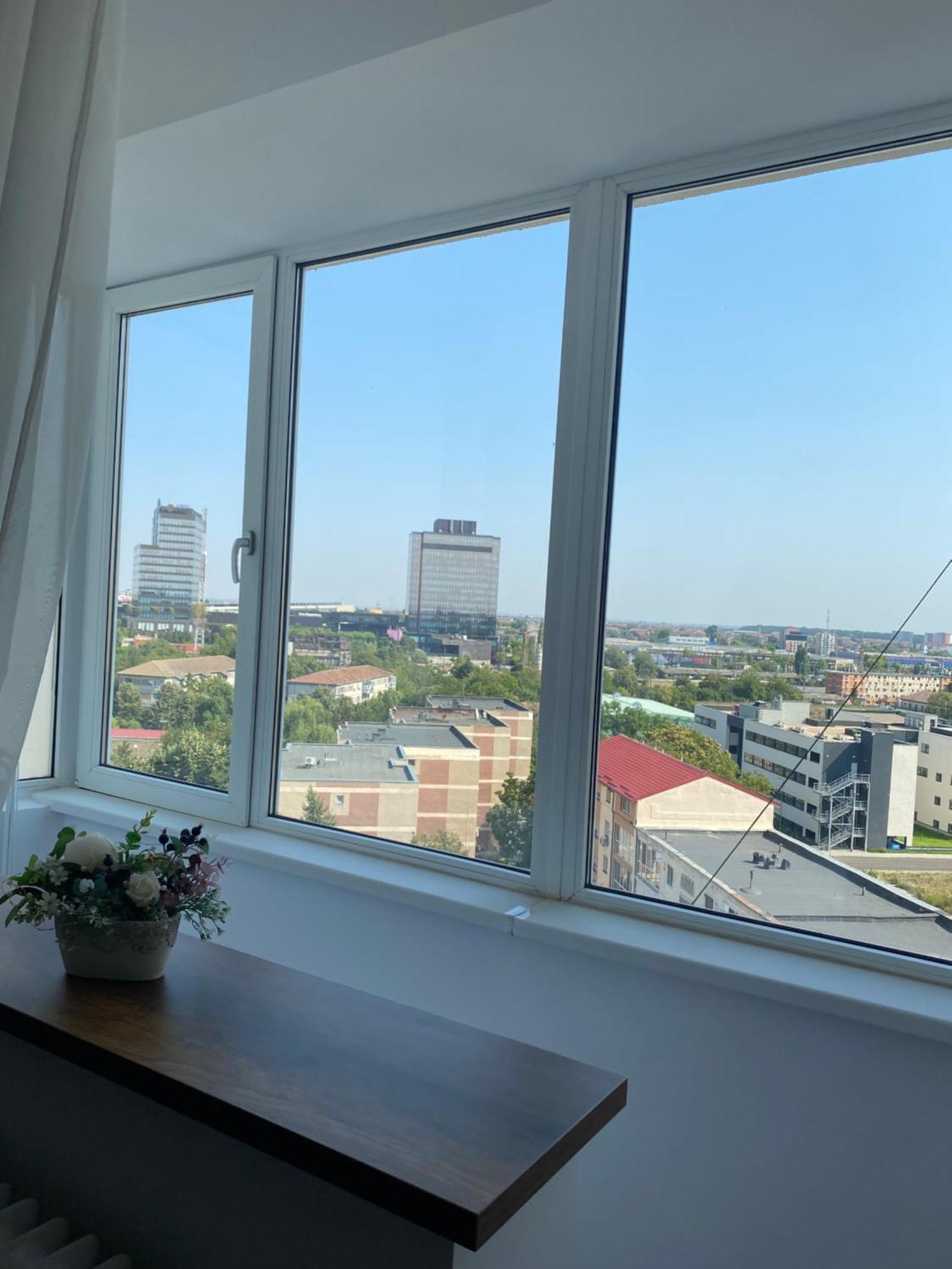 Doinei Cozy Flat Lägenhet Timişoara Exteriör bild